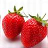 Buah strawberi segar